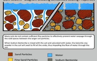 Sodium Bentonite Clay – The Basics